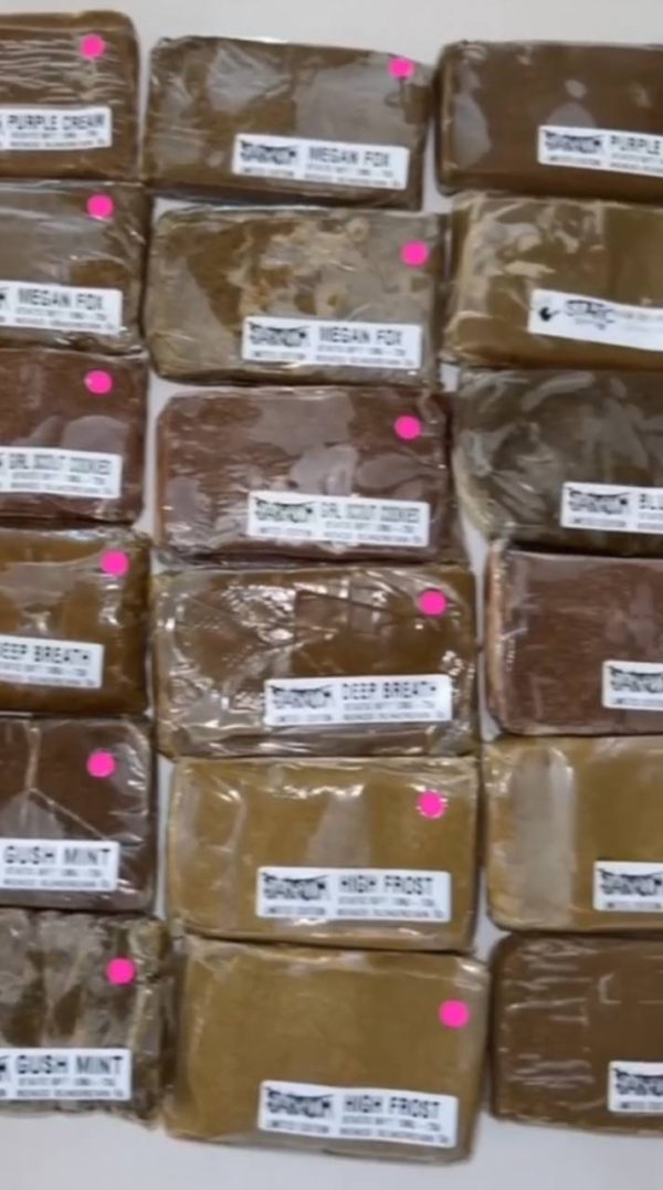 Static Room Hash Pink Label